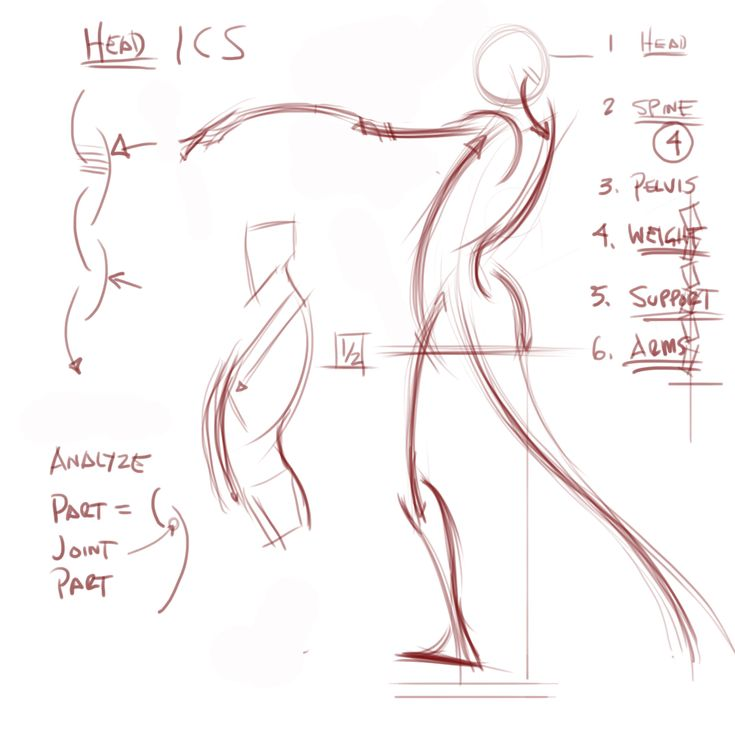 Bảng pose động — rhythm và opposing forces