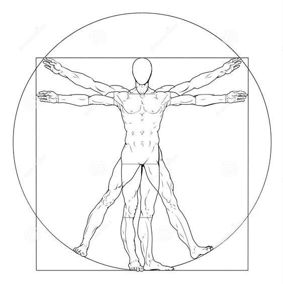 Vitruvian arm span equals body height proportion