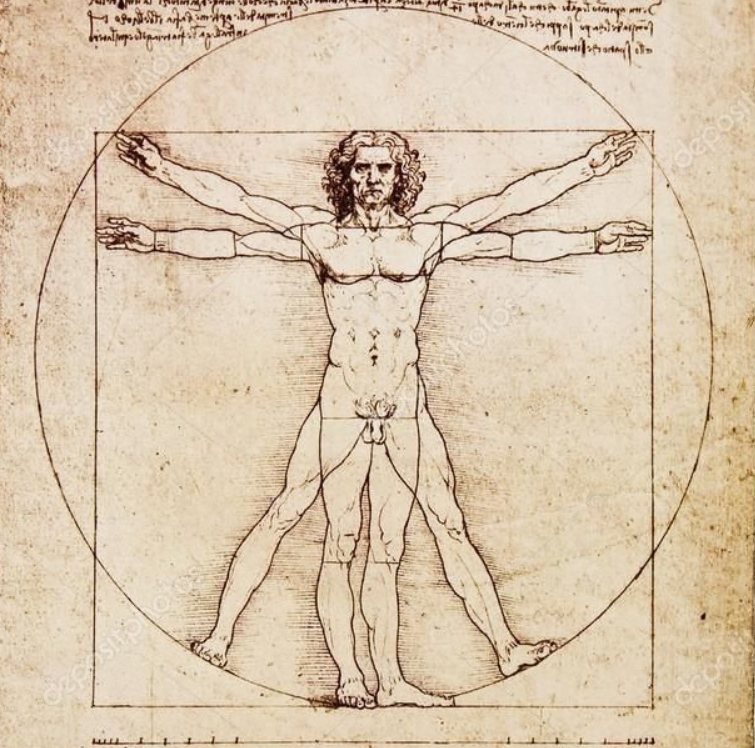 Leonardo da Vinci Vitruvian Man anatomy study